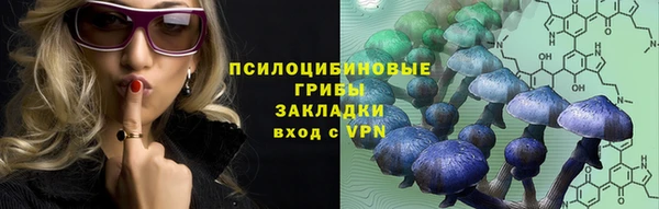 хмурый Алексин