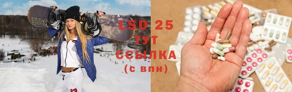 хмурый Алексин
