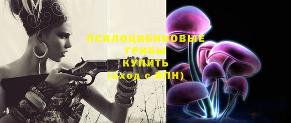 хмурый Алексин